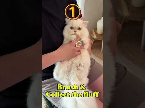 【バズ】うちの子のけだまだまガチャをつくってみた #ガチャガチャ #子猫 #おすすめ