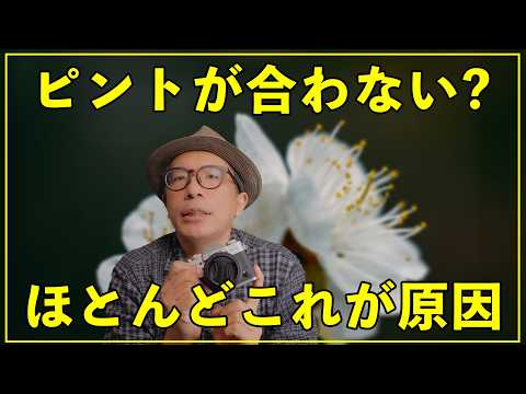 【初心者】ピントが合わない原因はこれ！1週間で改善するシンプルな方法