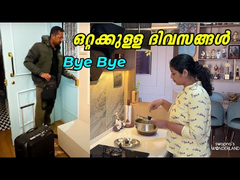 ഞാനും മിത്തു കുട്ടിയും  മാത്രം ആയുള്ള ദിവസങ്ങൾ  || Day in our life || Swapnas Wonderland