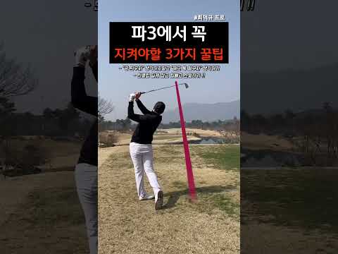 파3에서 이것만 지켜주세요✅