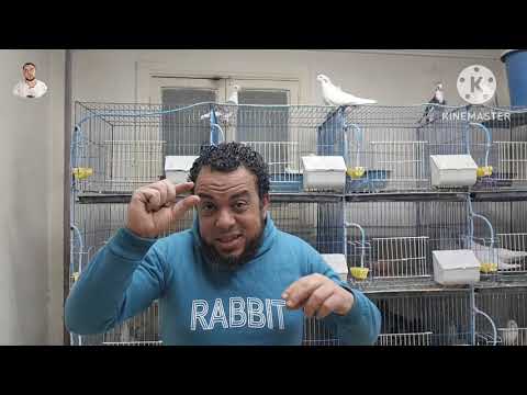 نصابين جروبات فيس بوووك خد بالك أوعي توقع في الفخ كلام مهم أعرف حصل إيه الموضوع كبير جدا يا غاوي 👍👌