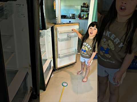 ในตู้เย็นไม่เห็นมีไรกินเลย!! #น้องเจเค #comedy #โบ๊ะบ๊ะshorts