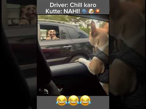 When two dogs act like traffic police from a moving car 😂 #FunnyDogs #DesiComedy #DogReels #Animal