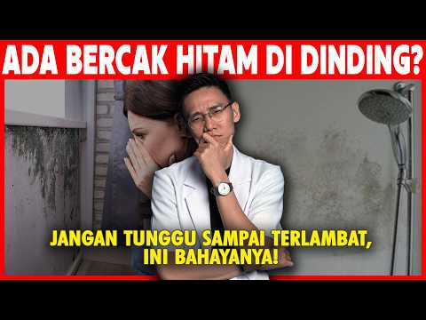 AWAS! Bercak Hitam di Dinding Bukan Sekadar Noda, Tapi Bisa Ancam Kesehatan Keluarga! BLACK MOLD
