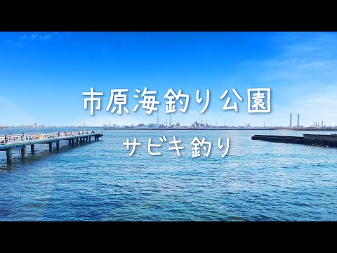 田舎で釣り暮らしの最新動画 Youtubeランキング