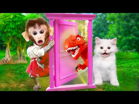 Monkey Baby BiBon Play With Magic Door and the end so funny | Animals ht