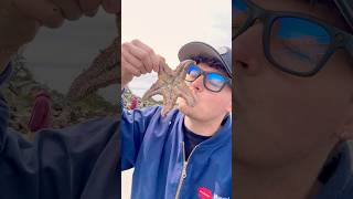 Rescuing Patrick Star & Cute Sea Animals! #animals #nature #shorts