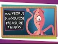 Understanding Units of Measurement