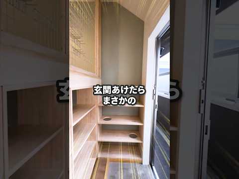 【狭小物件】狭くても大丈夫！16㎡でも叶う快適ライフ　ペットと快適に暮らす驚きのアイデア