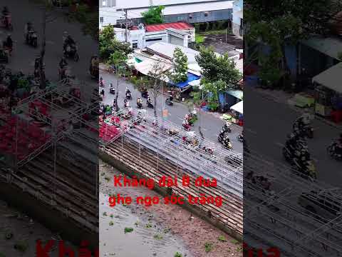 Kháng đài B đua ghe ngo sông maspero