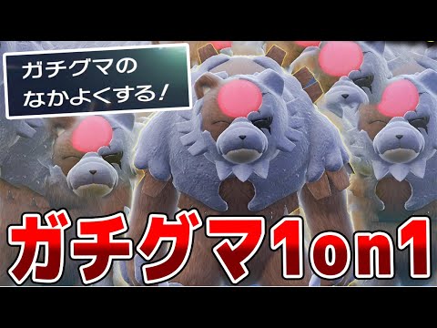 ガチグマしか使えない大会を