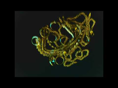 FARAWLA - فراولة