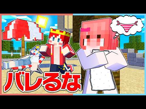 女の子の服が盗まれた！？...バレずに犯人を見つけるマインクラフト【マイクラ / Minecraft】