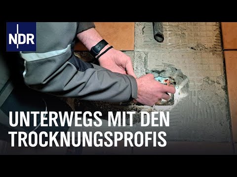 Rohrbruch! Ein Fall für die Leckorter | Die Nordreportage | NDR Doku