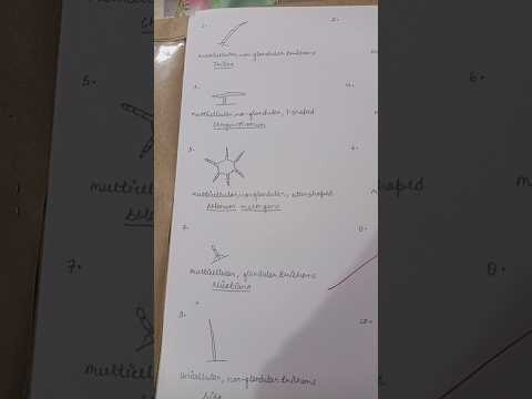 Types of trichomes in plant 🌱 #plant #bio #trichome #diagram #botany #bsc #practical #leafy #cuticle