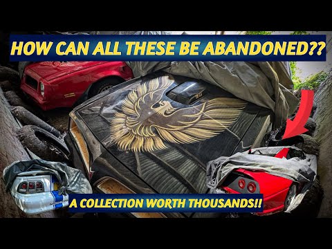 Unbelievable American Muscle & Rare Cars Left Abandoned! This Collection Will Leave You Speechless!!
