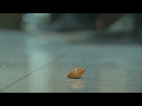 Good Question: Does the “5 second rule” matter?