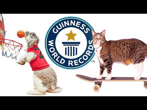 Amazing Animals - Best Of The Best | Guinness World Records
