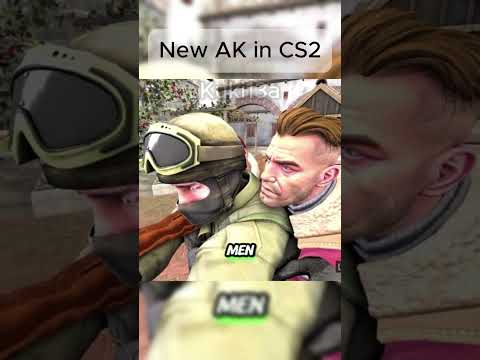 New AK in CS2 (By Lichtenstein) #dailyshorst #csgo #popular #gaming #reels #memes #viral #cs2 #funny