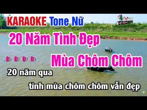 20 Năm Tình Đẹp Mùa Chôm Chôm Karaoke Tone Nữ | Nhạc Sống Thanh Ngân