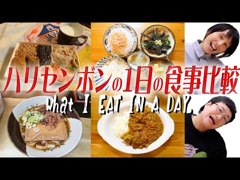 ハリセンボン２人の｢１日の食事｣比較したら全く違う食生活だった！！/What I eat in a day.【２年ぶり！】
