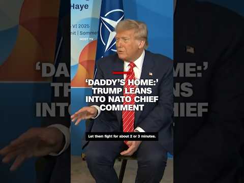 'Daddy's home:' Trump leans into NATO chief comment