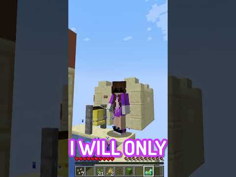 Minecraft, But Everything Is ANVILS...