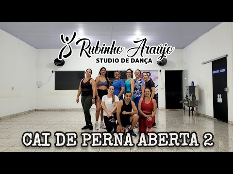 TROVÃO NO BEAT - GORDINHO BOLADO - MC DANINHO - CAI DE PERNA ABERTA 2|Rubinho Araujo