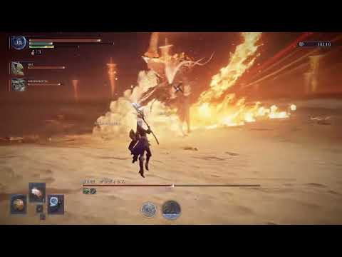 常世の王グラディウスと激しい攻防【ELDEN RING NIGHTREIGN】