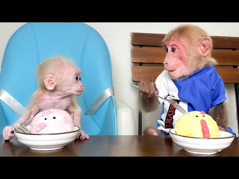 Bibi take extra care and attention of the monkey baby after it goes missing!