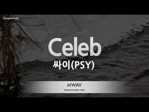 [짱가라오케/노래방] 싸이(PSY)-Celeb [ZZang KARAOKE]