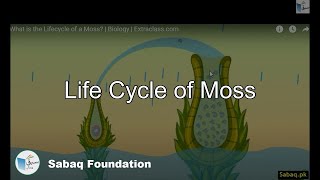 Life Cycle of Moss