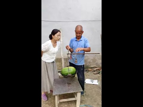 New Funny and Fail Videos ? ?? Part 916  #funny #funnyshorts #ruralfunny