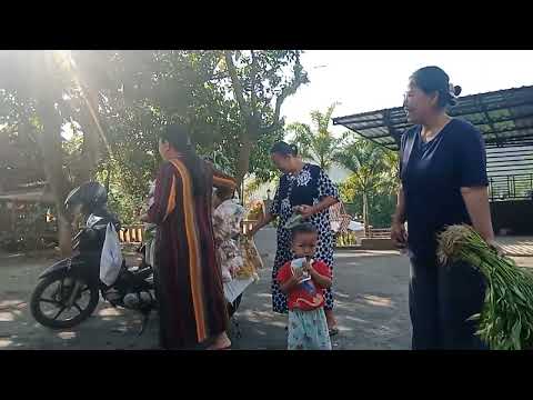 viraal.pedagang sayur yg sllu di nanti2 ibu2.