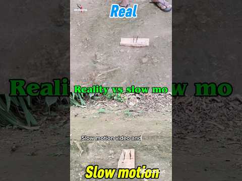 Slow motion vs Reality 😱 10000$ #slowmotion #slowlegend #edit #mrbeast
