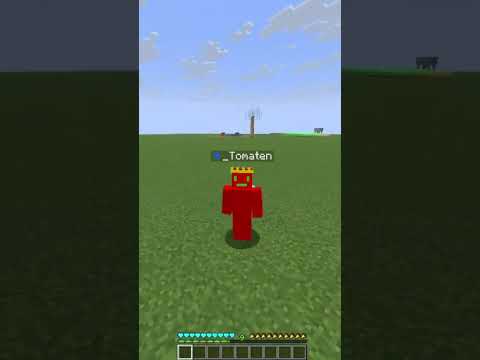 Jag och xxtra2 har skapat en minecraft server! #minecraft #clipchamp #shorts @xxtra2 