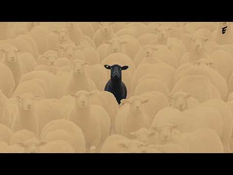You can't use a TYPICAL FLOW on this type beat - DERIVED