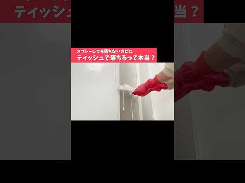 見逃しがち！お風呂の手すり裏カビの落とし方【裏ワザ】