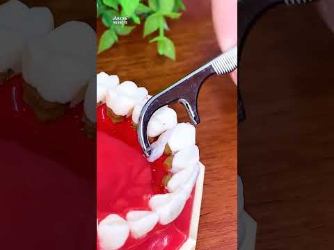 7 Pieces Tooth Floassing Set Kitchen/home utensils Smart Home Appliances #products #rsh