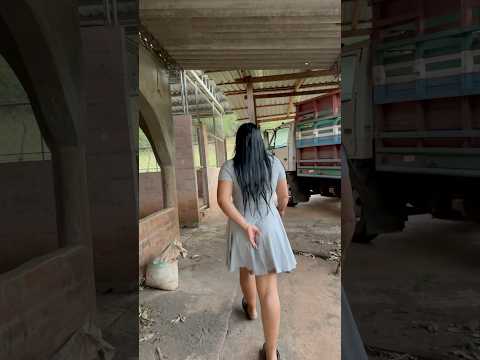 La vida del CAMPO