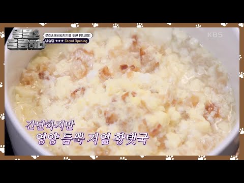 펫시피 [펫을 위한 레시피] 루이, 리언, 레비를 위한 펫시피! [동물은 훌륭하다] | KBS 250310 방송