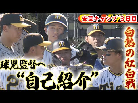 【秋季キャンプ3日目】白熱の紅白戦！若虎も藤川監督へ猛アピール！