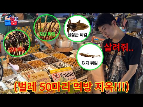 벌레 무한 먹방 벌칙(?) 걸린 친구 끝나지 않는 4박 5일 벌레 먹방 시키기ㅋㅋㅋㅋㅋ