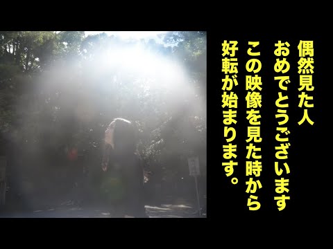 偶然見た人強運！伊勢で撮れたケタ違いのエネルギーです。