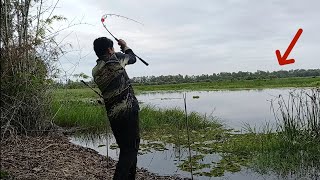 Mồi câu mới - Bầy cá rừng Tràm Chim phía trong đập tràn