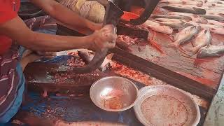 Deshi Pangash Fish Cutting in Open Fish Market | Dh Bangla Media