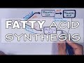 Fatty Acid Synthesis Concepts
