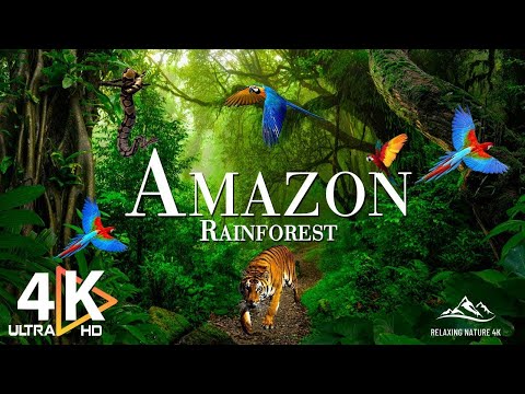 AMAZON 4K - The World&#39;s Largest Tropical Rainforest | Relaxing Music With Beautiful Nature Scenes