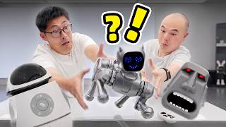价格2位数？PDD上买到的机器人还能这样？