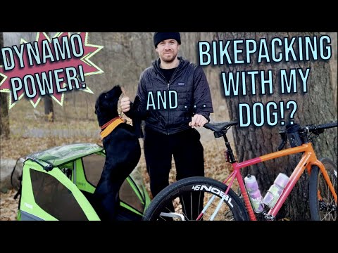 I Built My (Dog’s) Dreambike! Crux DSW by Specialized